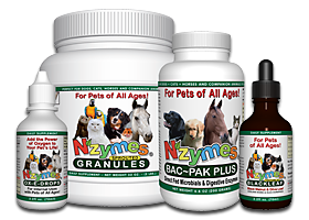 NZYMES Large Yeast-Kit