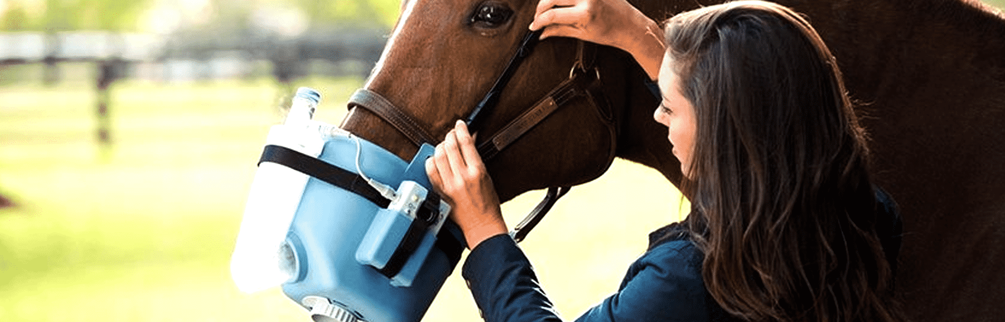 Horse Respiratory