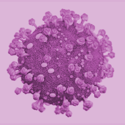 Cat-FiV-400x400-image Feline Immunodeficiency Virus (FIV) Image