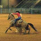 Barrel racer