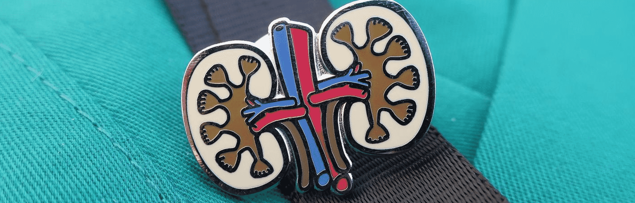 hdr-dog-metabolic-kidney-problems Kidney Problems in Dogs