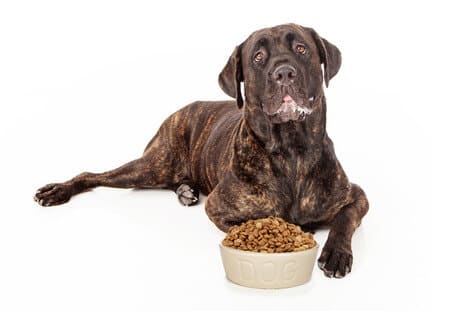 kibble dog food with glucosamine