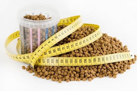 lots of dry kibble dog food with glucosamine