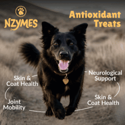 Antioxidant Benefits