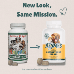 Nzymes New Look