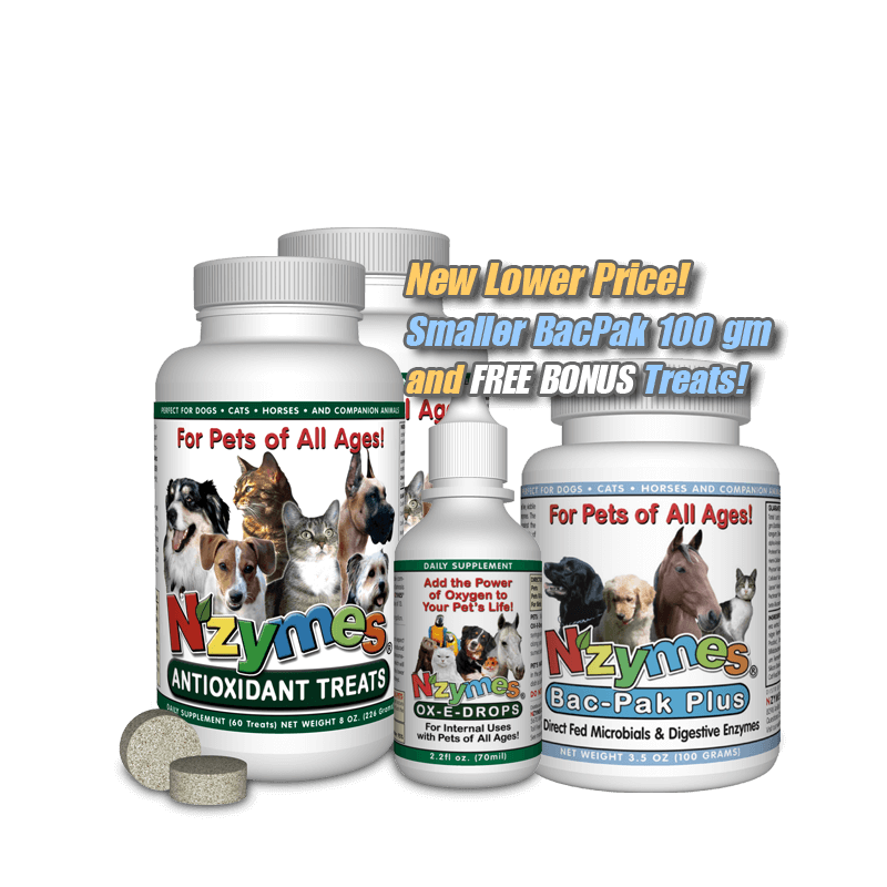 gland problem in dogs gland problems in dogs nzymes gland problem in dogs gland problems in dogs nzymes