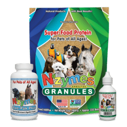 Nzymes Large 3-Pak Kit for Pets of All Ages