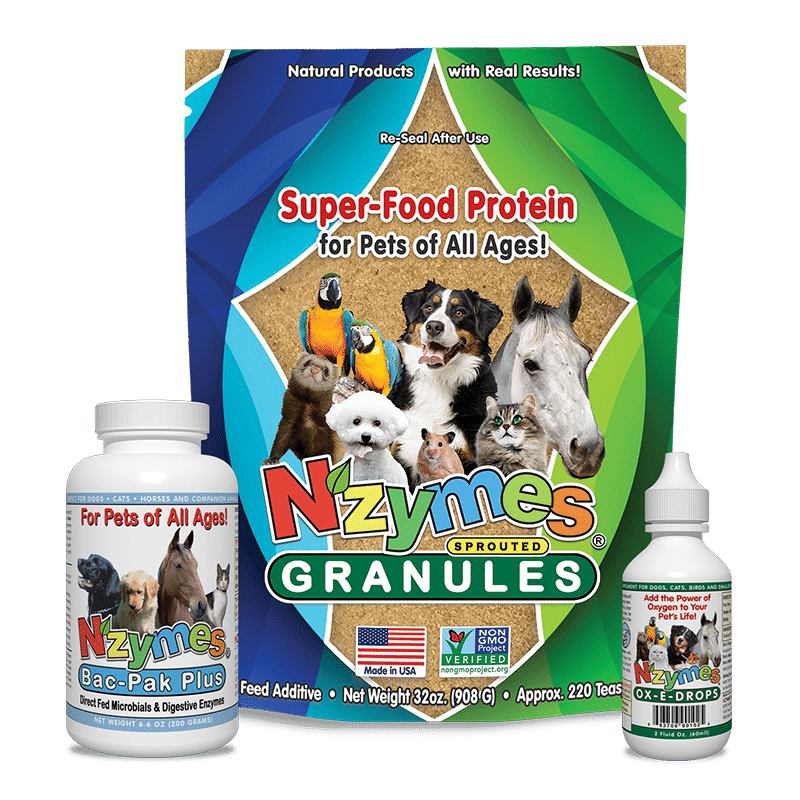 Nzymes Large 3-Pak Kit for Pets of All Ages