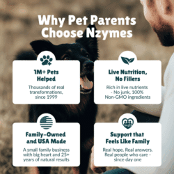 Nzymes is a great choice for pets