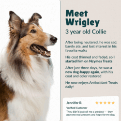 Nzymes Testimonial