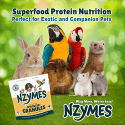 Granules for exotic pets