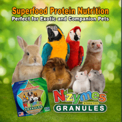 Nzymes Sprouted Granules 1lb. for Exotic and Companion Pets
