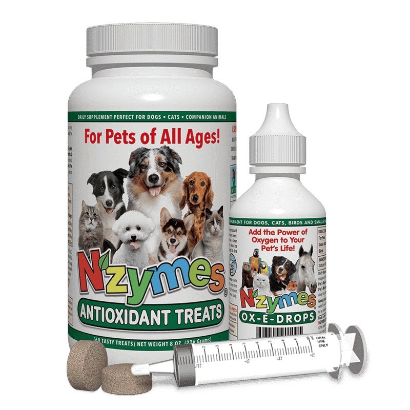 Nzymes Healthy Respiratory Kit