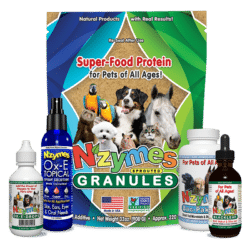 Kit for yeast and allergies in dogs