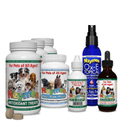 Kit for yeast and allergies in dogs