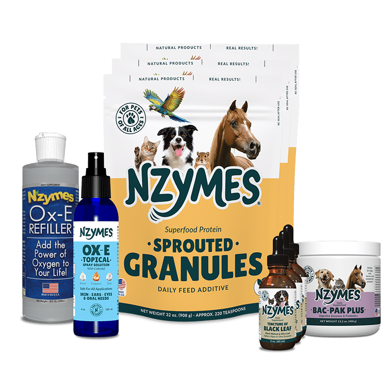 Super Healthy Skin Kit for dog allergies and yeast overgrowth