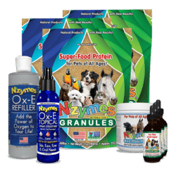 Super Healthy Skin Kit for dog allergies
