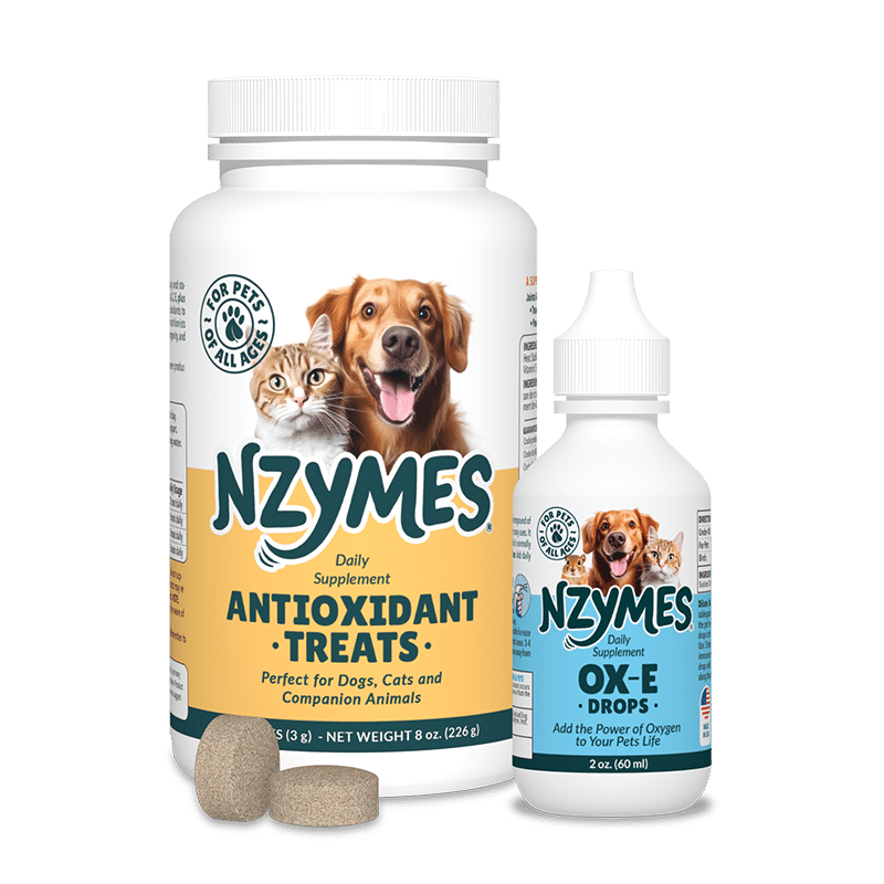 Nzymes Treats & Ox-E-Drops Kit