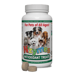 Antioxidant Treats for Pets