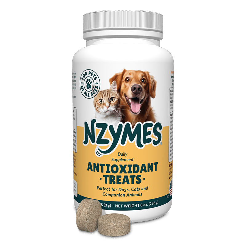 Antioxidant Treats for Pets