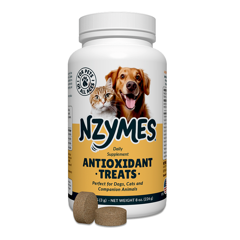 Nzymes Antioxidant Treats for Pets