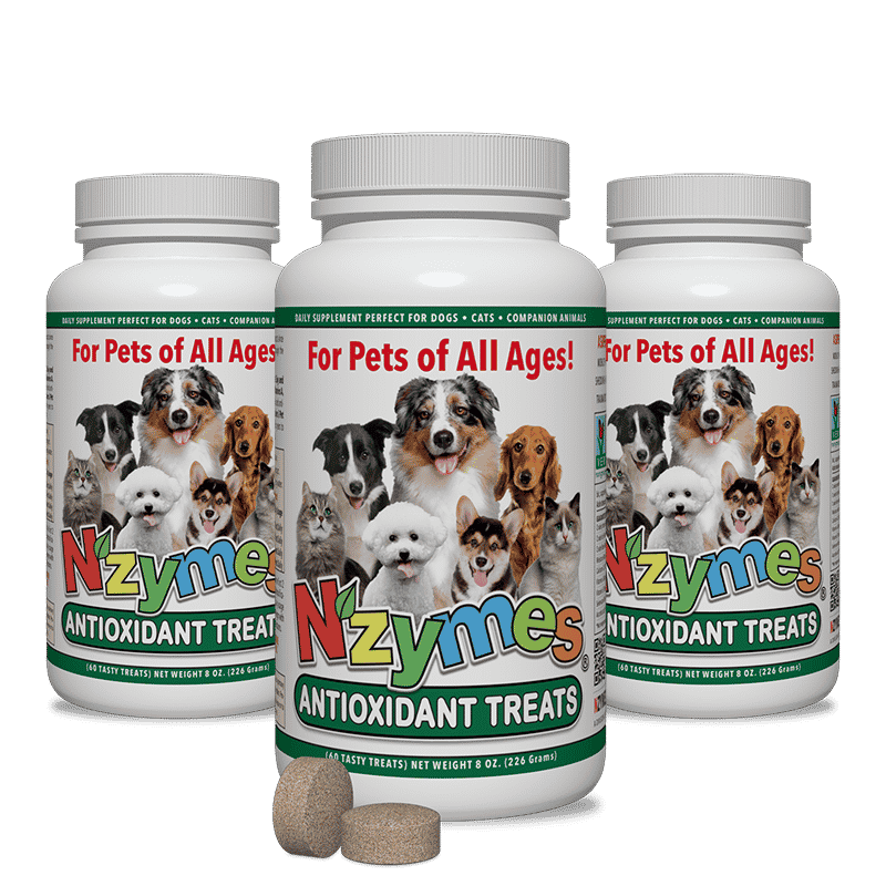 Nzymes Antioxidant Treats for Pets 3-Pak