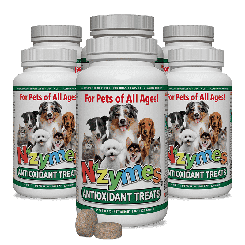 Nzymes Antioxidant Treats for Pets 6-Pak