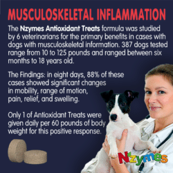 Musculoskeletal Veterinary Study