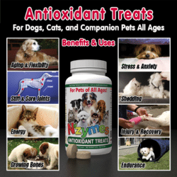 Nzymes Antioxidant Treats Benefits and Uses