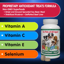 Antioxidant Superfood Formula
