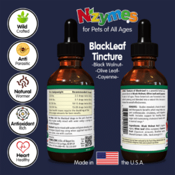 Nzymes BlackLeaf Tincture Properties: For Pets of All Ages