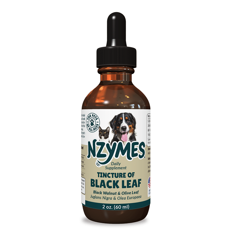 Black Leaf Tincture for Pets