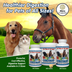 Nzymes Bac-Pak-Plus - Probiotics and Digestive Enzymes in 3 Sizes for Pets of All Sizes