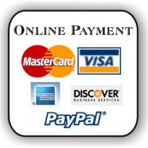 online payment methods nzymes