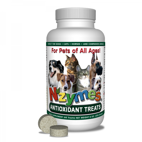 Antioxidant Treats for Pets