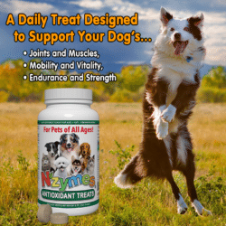 Antioxidant Support for Good Health