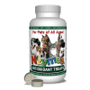 Antioxidant Treats for Pets