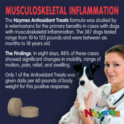 Vet study for Musculo Skeletal Inflammation