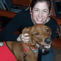 Abby, Golden Retriever beats Hip Dysplasia Troubles