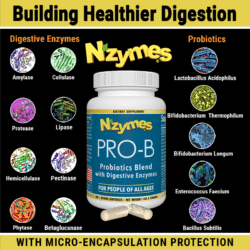 Healthy Ingredients in probiotics for people