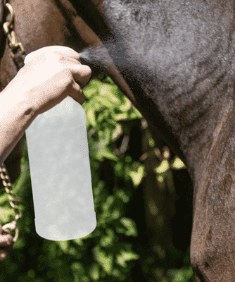horse-oxe-spray-bottle Using Ox-E Topical on Affected Areas