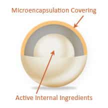 probiotic protective encapsulation