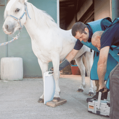 navicular-syndrome-in-horses Navicular Syndrome in Horses