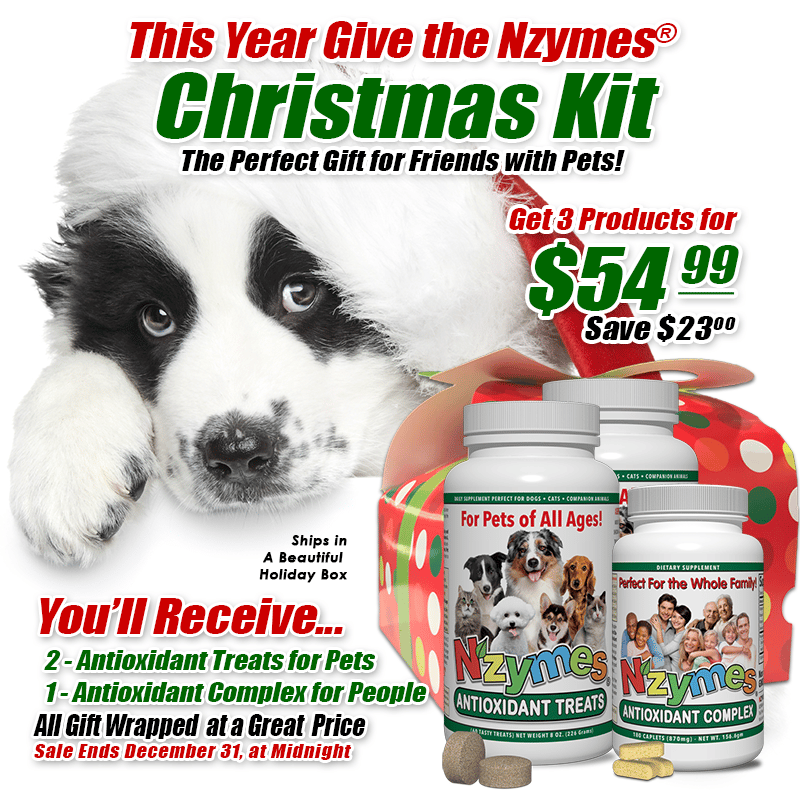 Nzymes Christmas Specials