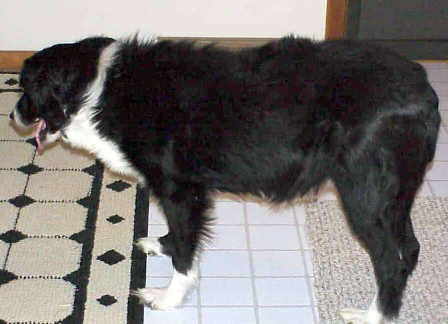 03-12-01 Mark after 3 mos