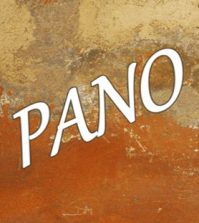 pano in dogs protect your pet from pet dangers nzymes pano in dogs protect your pet from pet dangers nzymes