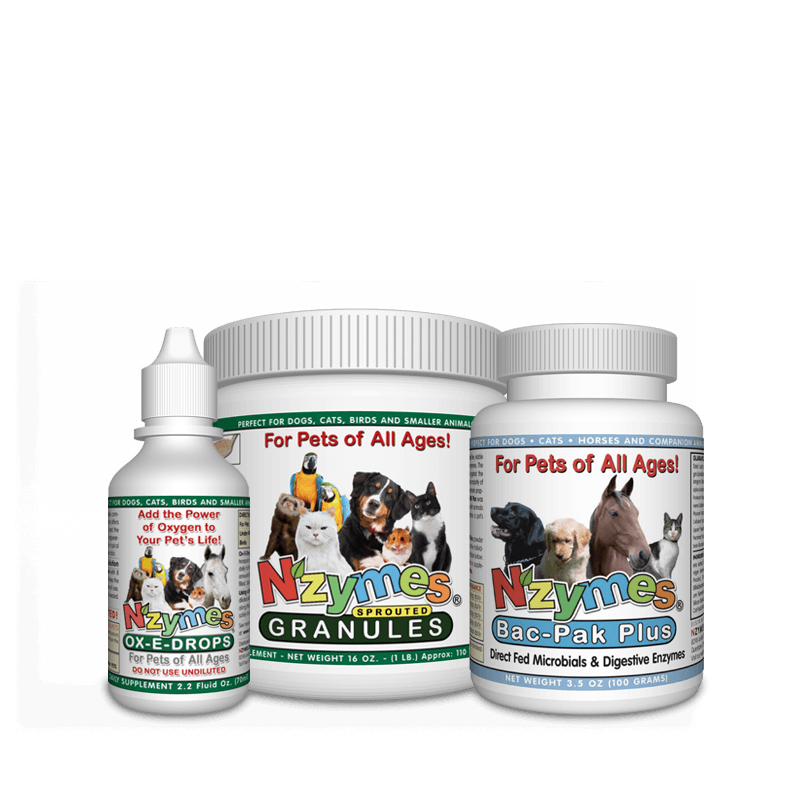 What Food Is Good For Diarrhea In Dogs What Food Is Good For Diarrhea In Dogs