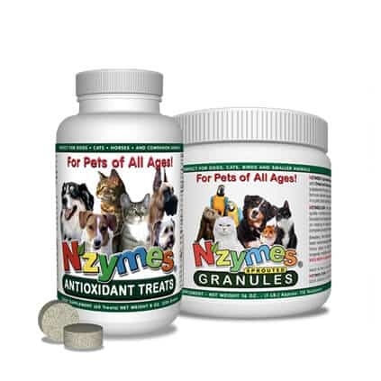 gp1-p-bundle
