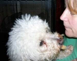 Yoshie after 9 mo