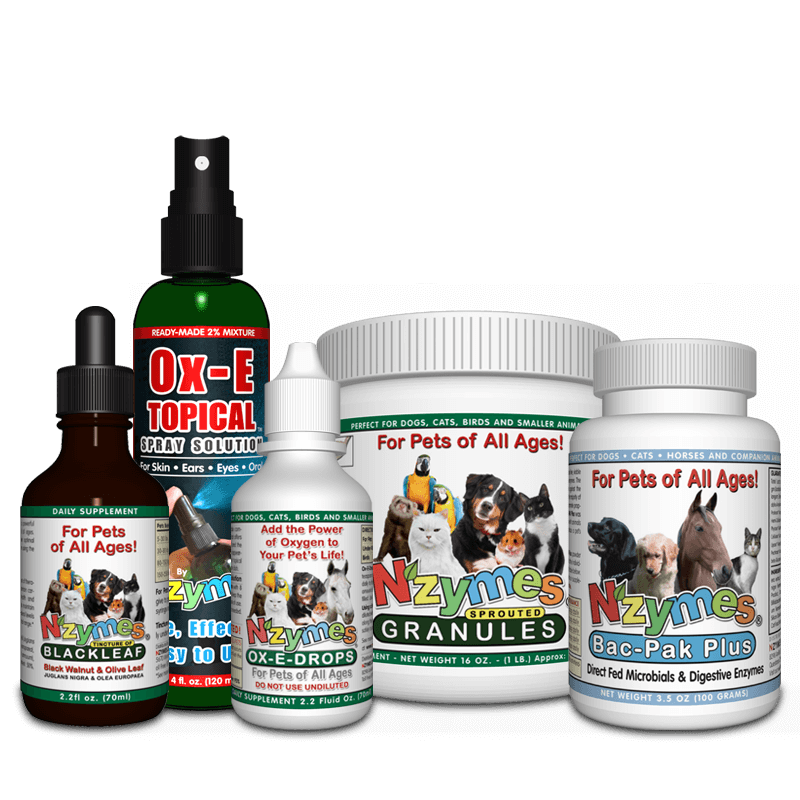 Yeast free dog food